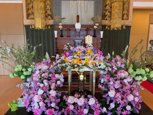 『花まつり』

4月8日はお釈迦様の誕生日です🌸

今日は花まつり法要を執り行いました🌼

朝から花御堂（はなみどう）を檀家さん方と作りました💐
今年は周りのお花も沢山あって
華やかにできました🌸🌸

午後の法要では誕生仏に甘茶という
甘味を感じるお茶をかけて
焼香もしていただきました☺️

穏やかな日の法要になり
心より感謝を感じました😊

#高徳寺
#花まつり
#花御堂
#誕生仏
#甘茶