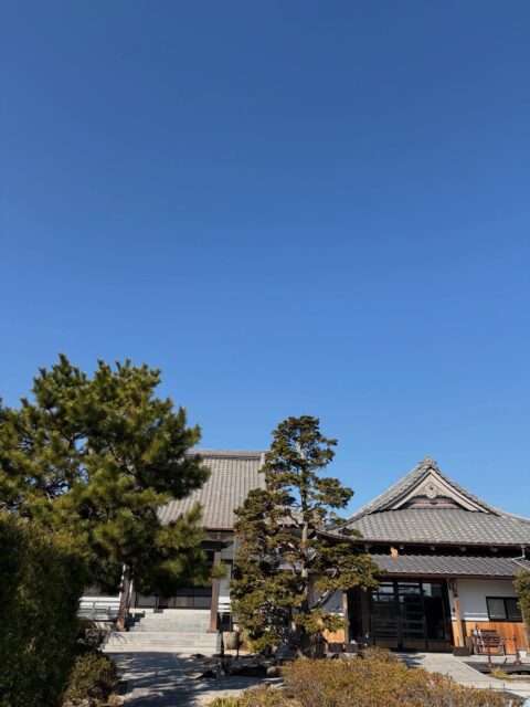 今日はいいお天気でした☀️

屋根からパトロールの目を光らせるふぅちゃん🐈
名前を呼んでも動くことすらなく
ただじっと見つめるふぅちゃんでした👀

今日の夜から特に冷えるようです❄️

気をつけてお過ごしください☺️

#高徳寺
#寺猫
#猫
#ふぅちゃん　
#屋根からパトロール